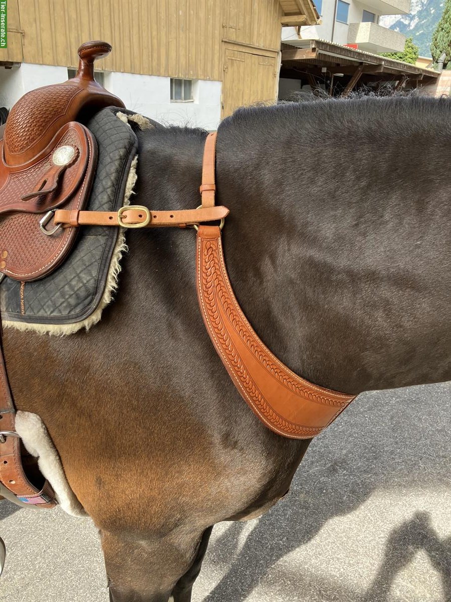 Western Vorderzeug / Vorgeschirr, Top Lederqualität