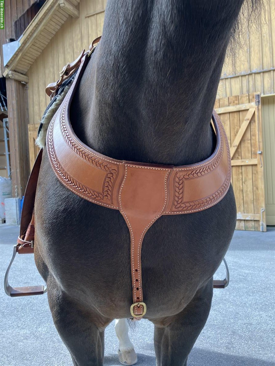 Bild 2: Western Vorderzeug / Vorgeschirr, Top Lederqualität