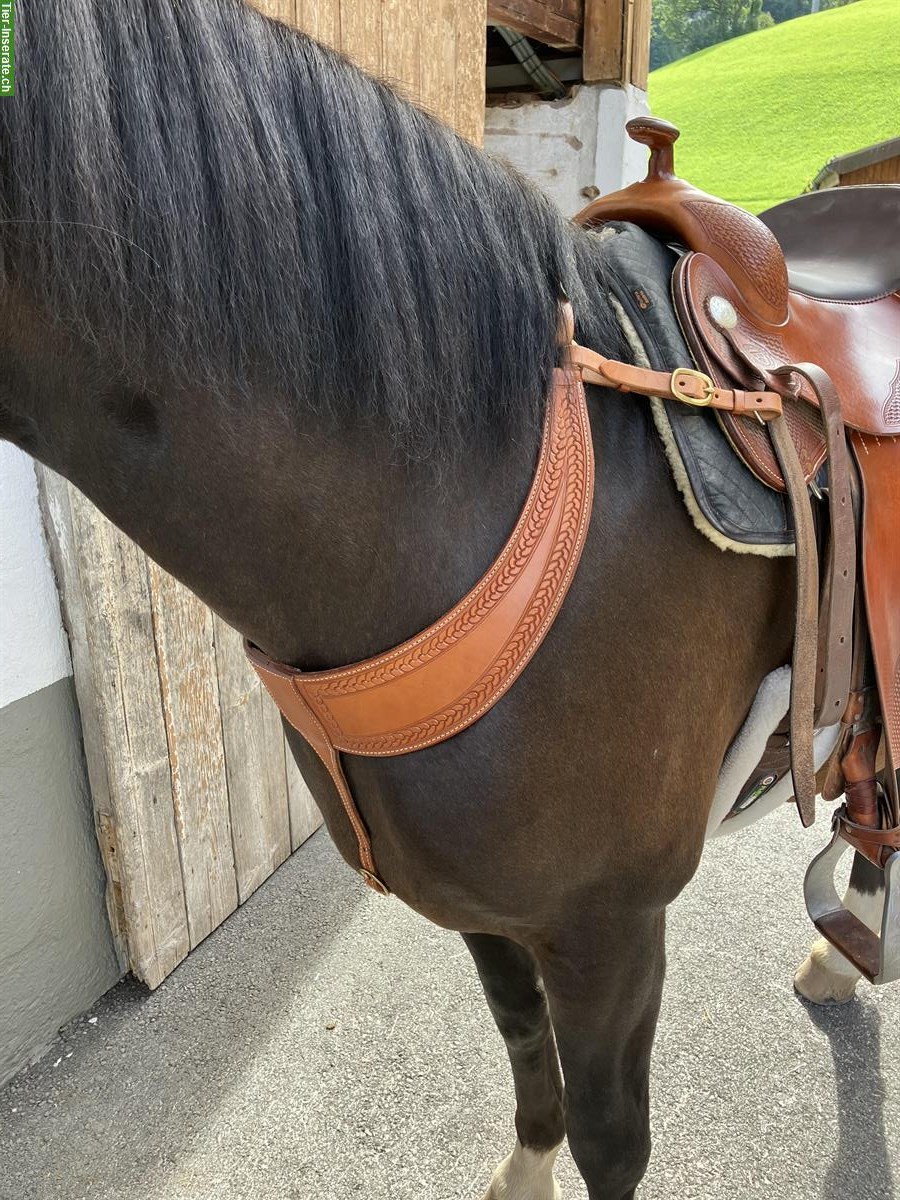 Bild 3: Western Vorderzeug / Vorgeschirr, Top Lederqualität