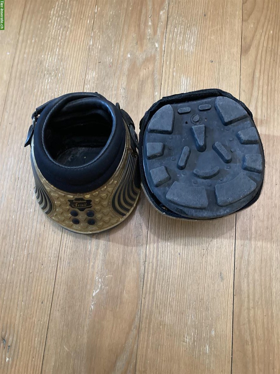 Reitzubehör: Halfter, Sidepull, Hufschuhe, Hackamore, Rückenschutz