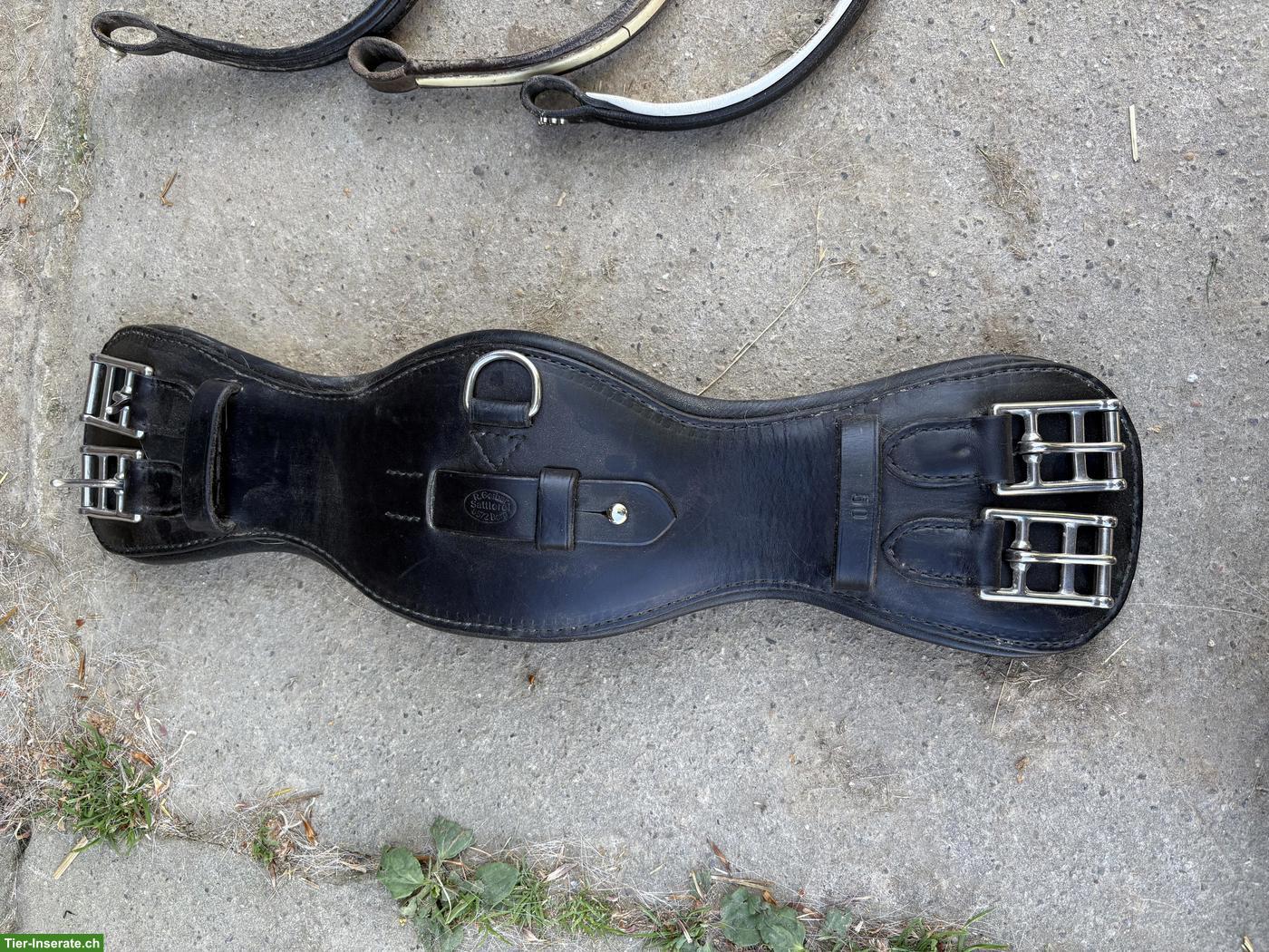 Bild 10: Reitzubehör: Halfter, Sidepull, Hackamore, Rückenschutz