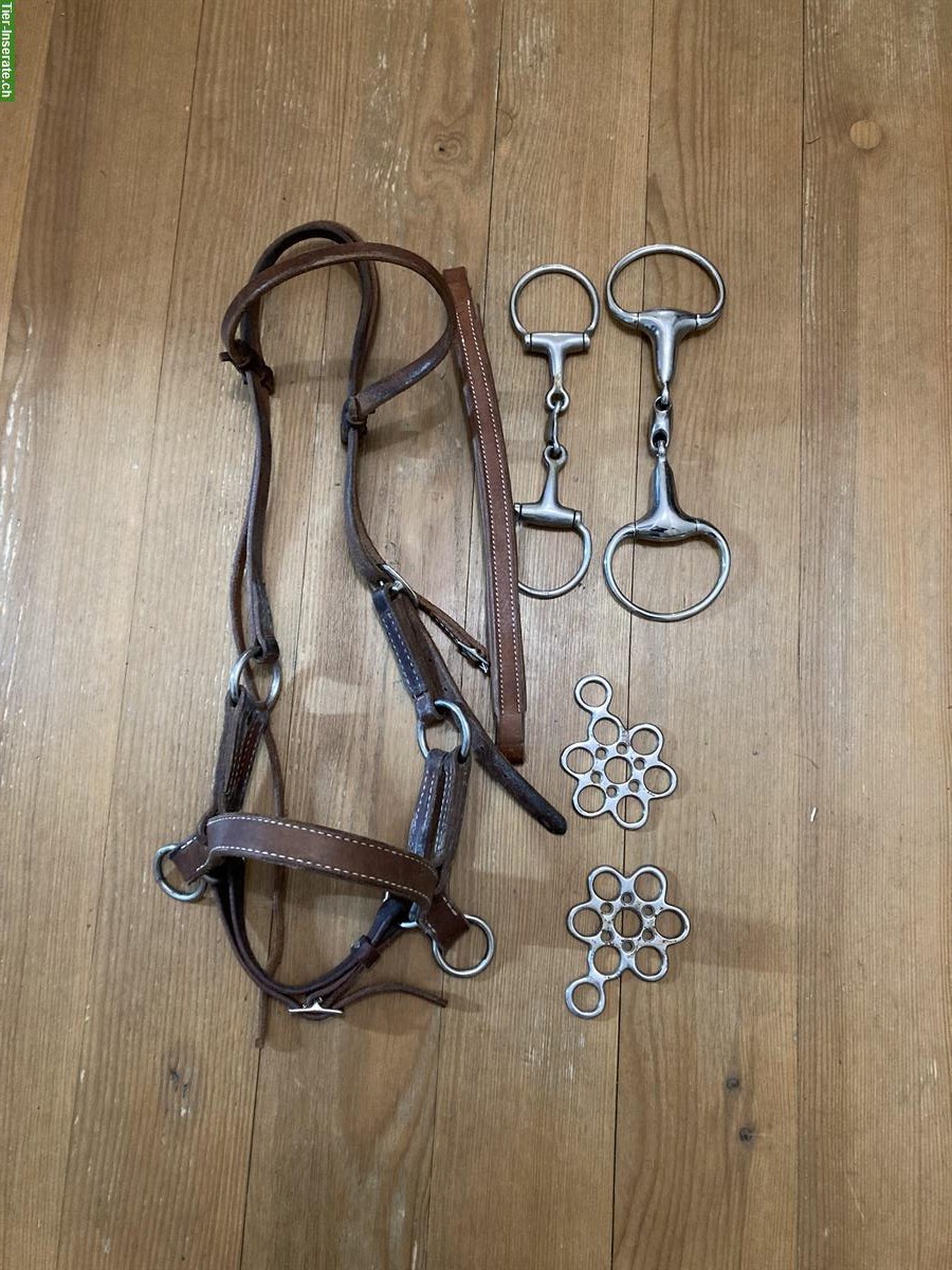 Bild 3: Reitzubehör: Halfter, Sidepull, Hufschuhe, Hackamore, Rückenschutz