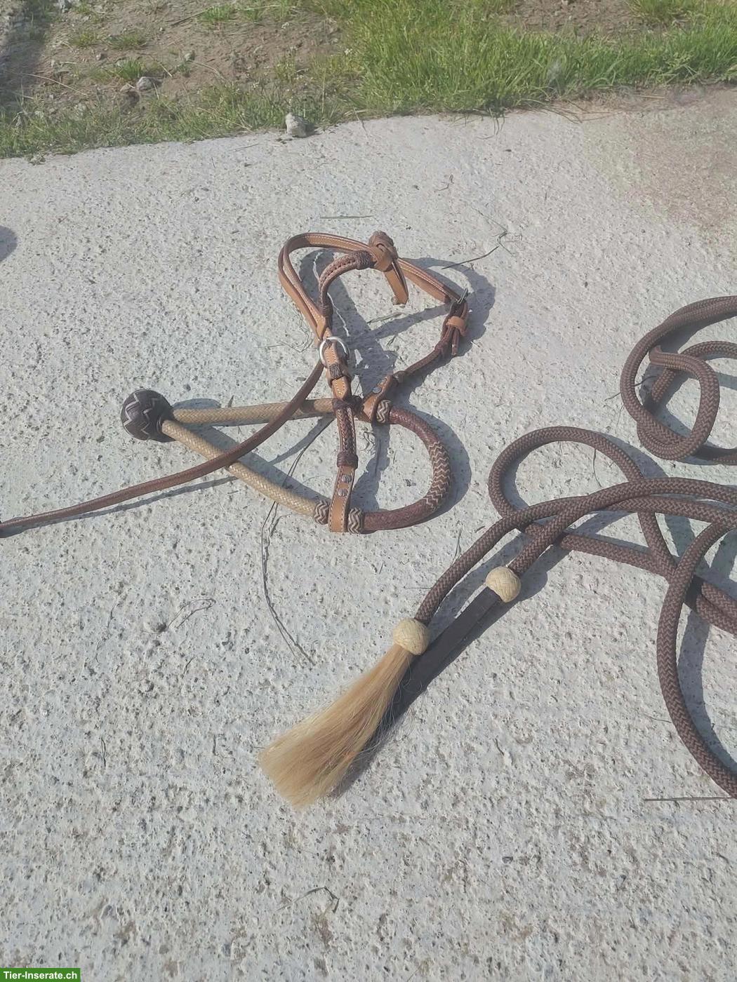 Bild 6: Reitzubehör: Halfter, Sidepull, Hackamore, Rückenschutz