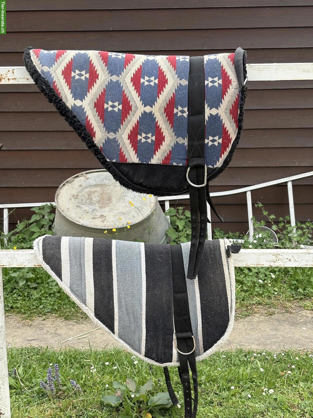 Bild 7: Reitzubehör: Halfter, Sidepull, Hackamore, Rückenschutz