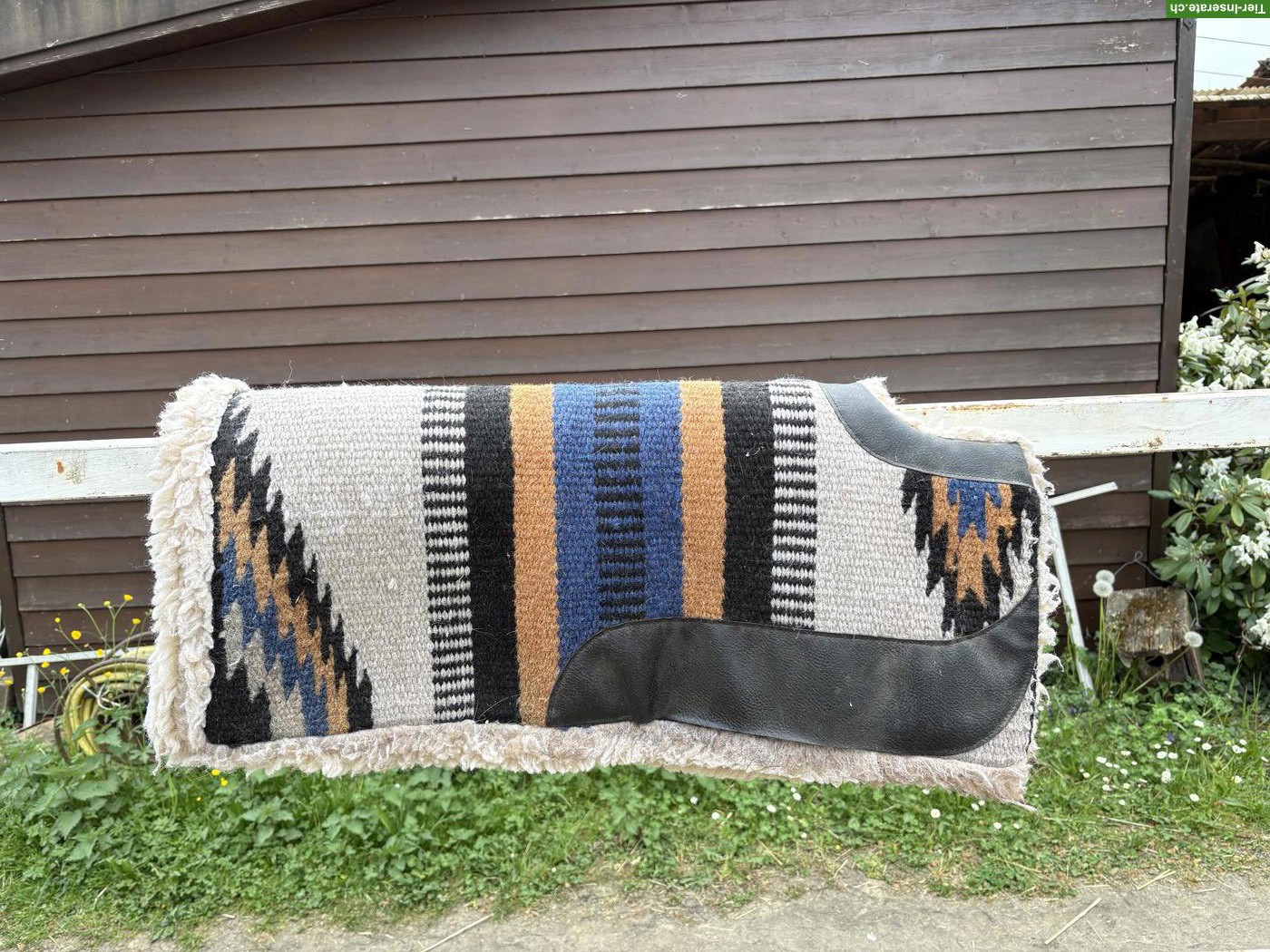 Bild 8: Reitzubehör: Halfter, Sidepull, Hackamore, Rückenschutz
