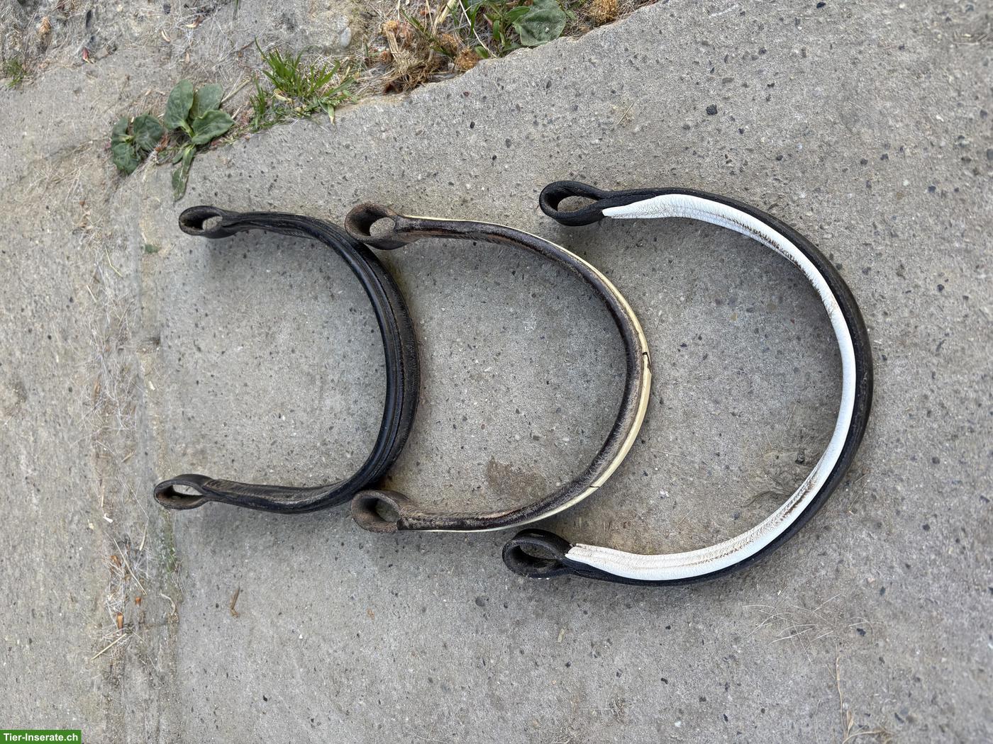 Bild 9: Reitzubehör: Halfter, Sidepull, Hackamore, Rückenschutz