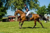 Achal-Tekkiner, 10-jährig, 158cm, für sportliche Freizeitreiter