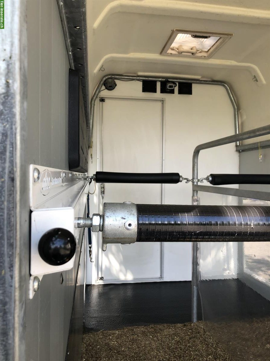 Bild 4: Pferdeanhänger Atec Centaurus XXL zu verkaufen