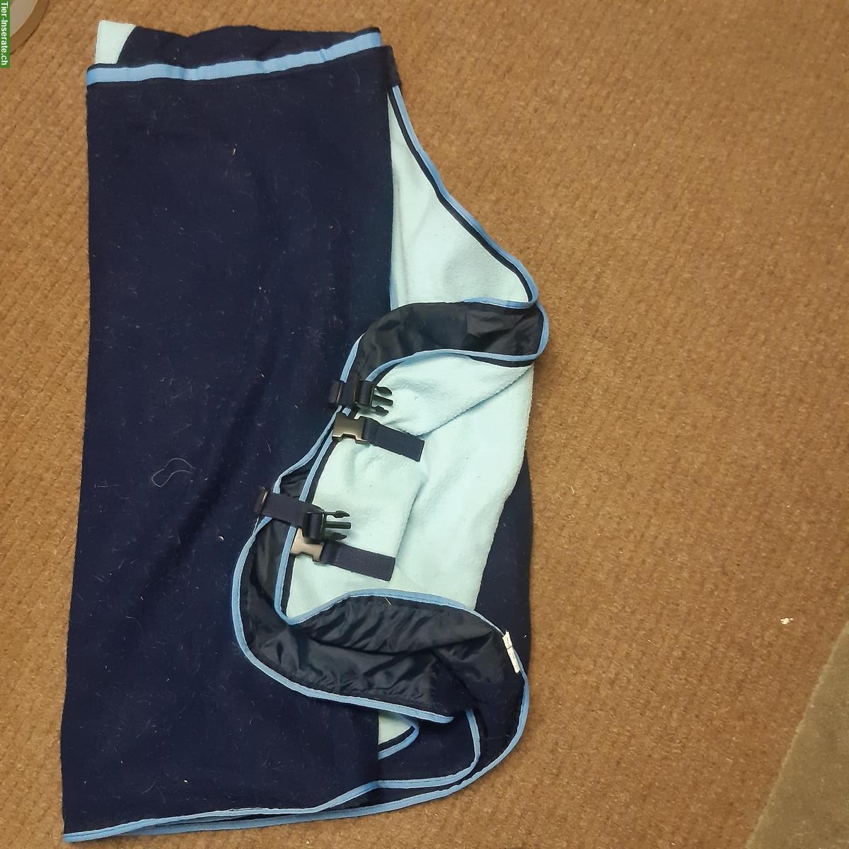 Bild 5: Schabracken und Abschwitzdecke zu verkaufen