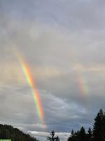 Offenstallplatz für Wallach in Rüegsau BE, 24h Heu & Weidegang