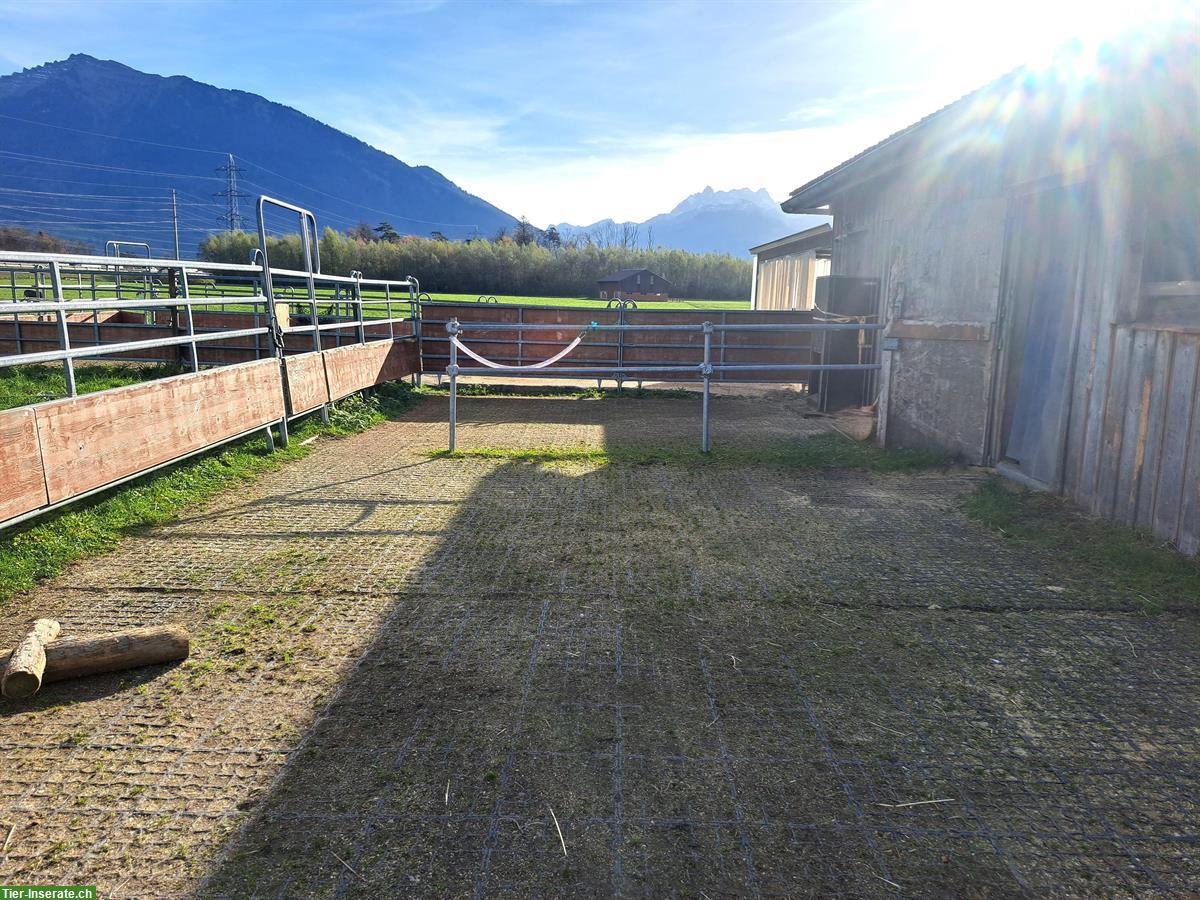 Bild 4: Ganzer Pferdestall in Reichenburg SZ für 6-8 Pferde zu vermieten