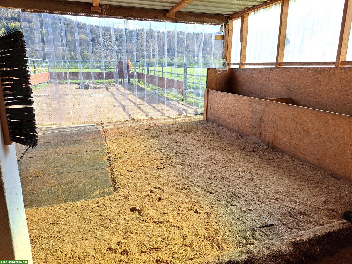 Bild 5: Ganzer Pferdestall in Reichenburg SZ für 6-8 Pferde zu vermieten