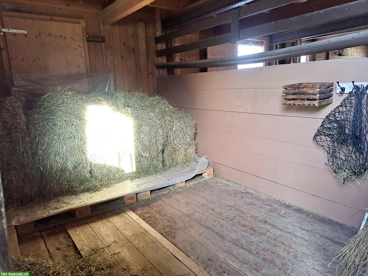 Bild 9: Ganzer Pferdestall in Reichenburg SZ für 6-8 Pferde zu vermieten