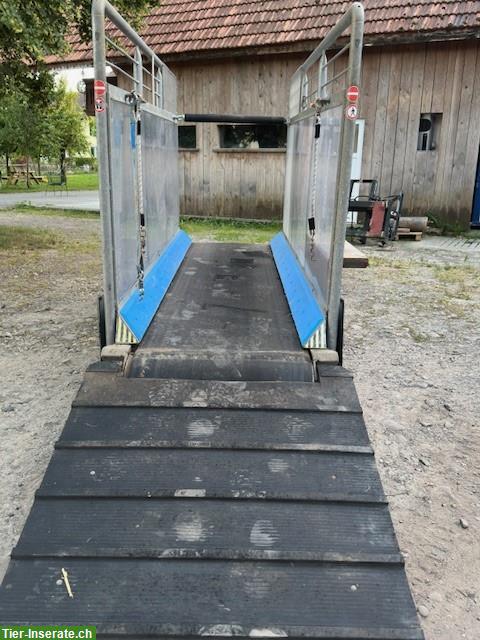 Bild 7: Pferdelaufband Occasion mit wenigen Betriebsstunden