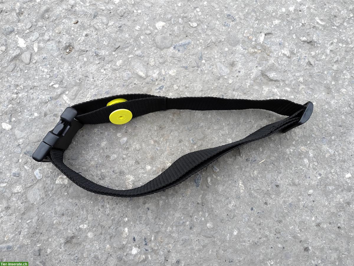 Pferde-Halsband mit Transpondermarke von HIT
