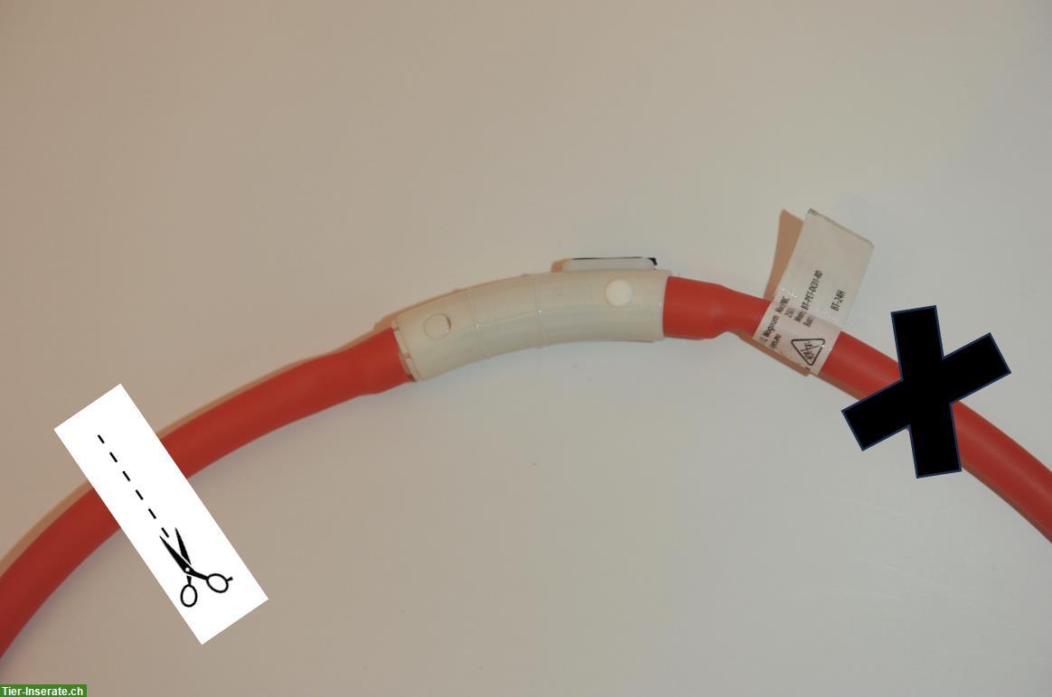 Bild 3: LED Leuchtband für Esel - Sichtbarkeit & Sicherheit