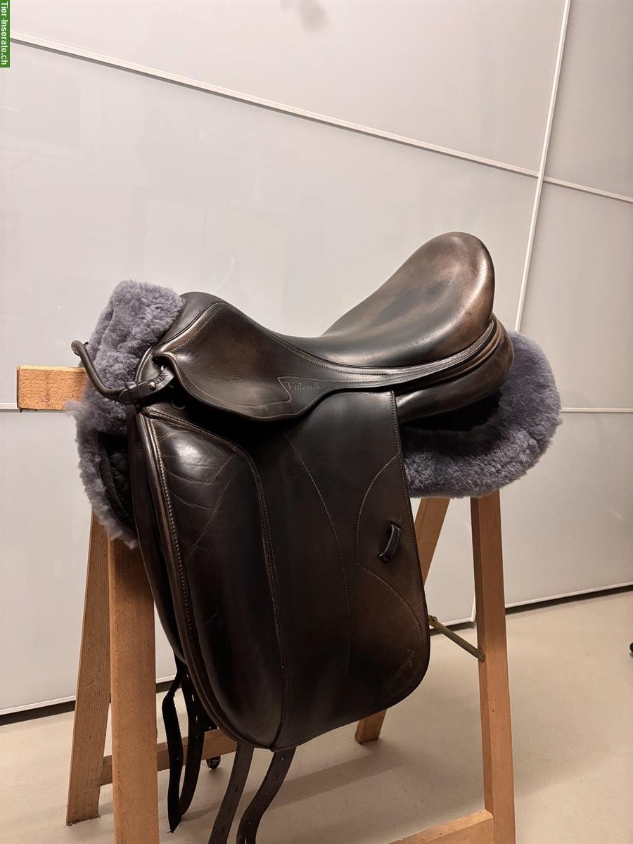 Amerigo Dressursattel 17½ Zoll zu verkaufen