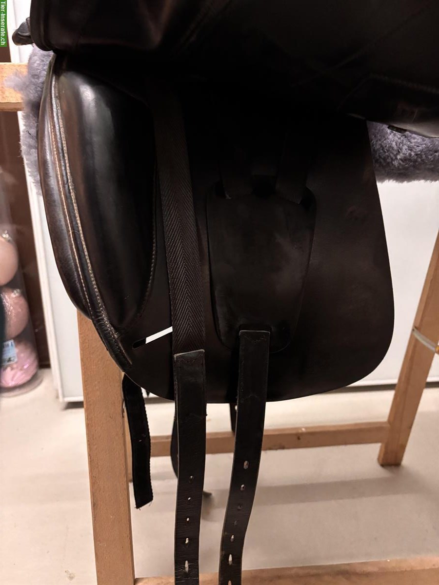 Bild 2: Amerigo Dressursattel 17½ Zoll zu verkaufen