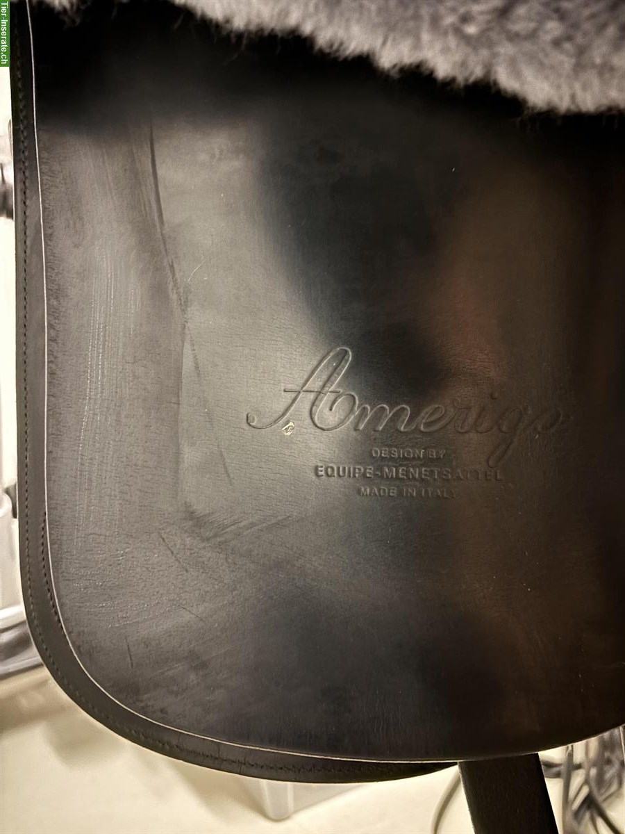 Bild 3: Amerigo Dressursattel 17½ Zoll zu verkaufen