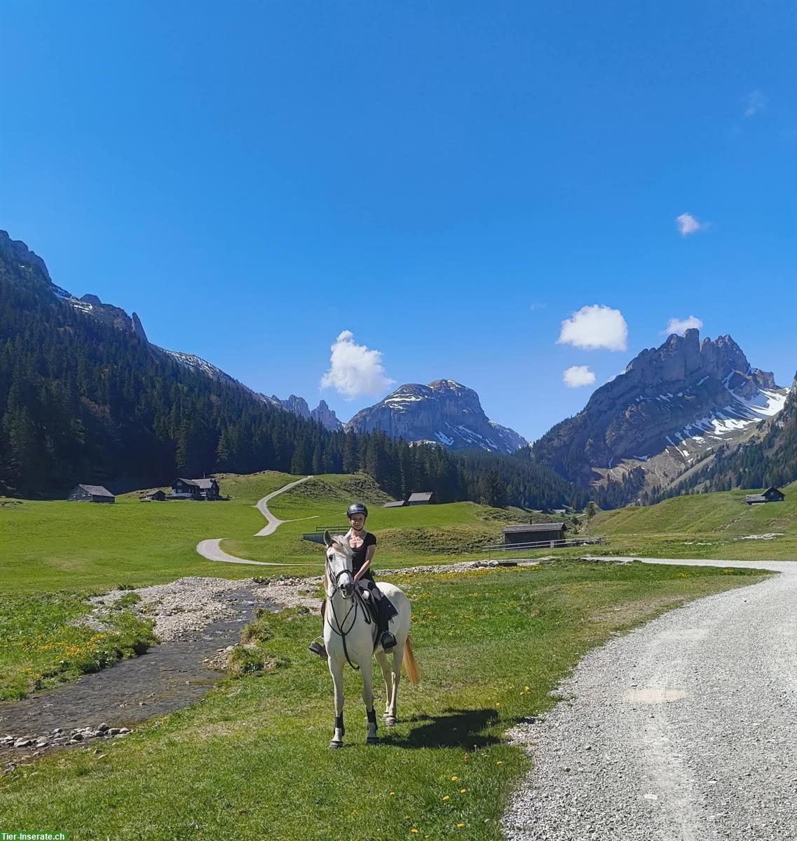 Bild 3: Reitbeteiligung, Begleitung für Ausritte, Urnäsch SG