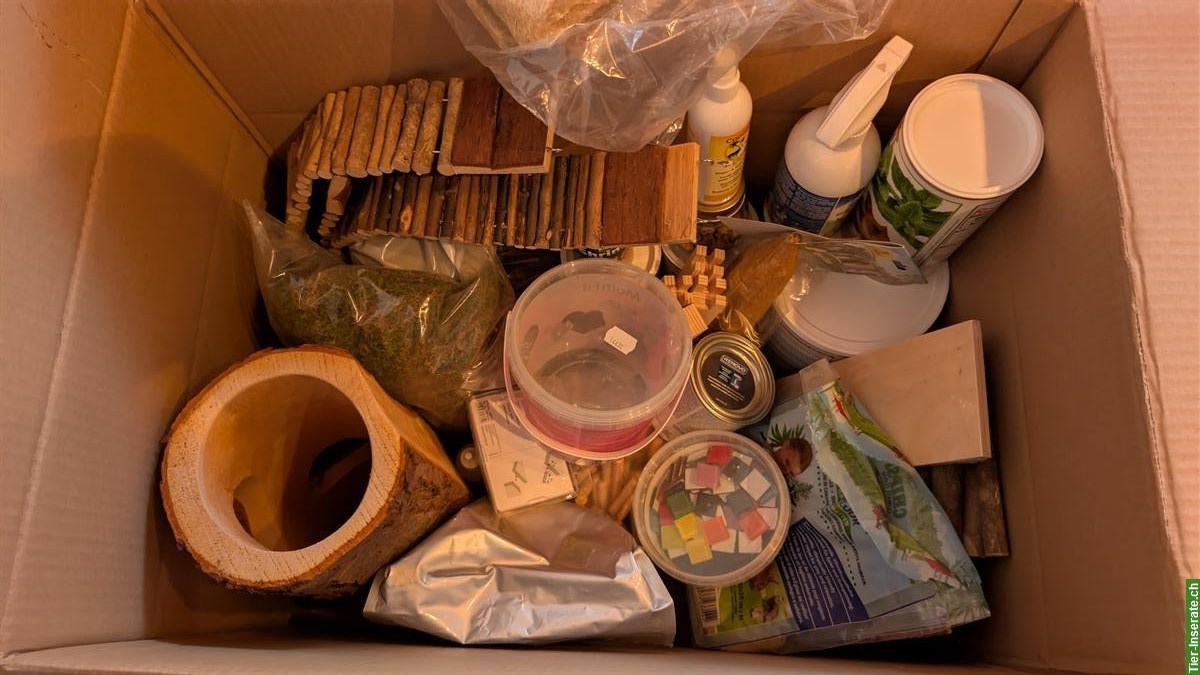 Bild 5: Terrarium und Hamster Zubehör zu verkaufen