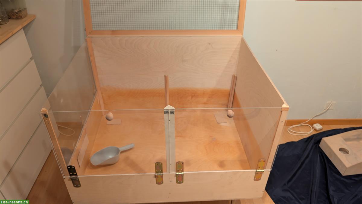 Bild 8: Terrarium und Hamster Zubehör zu verkaufen