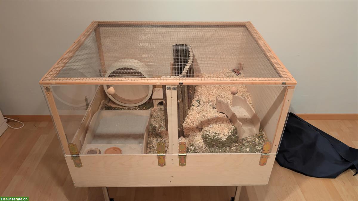 Bild 9: Terrarium und Hamster Zubehör zu verkaufen