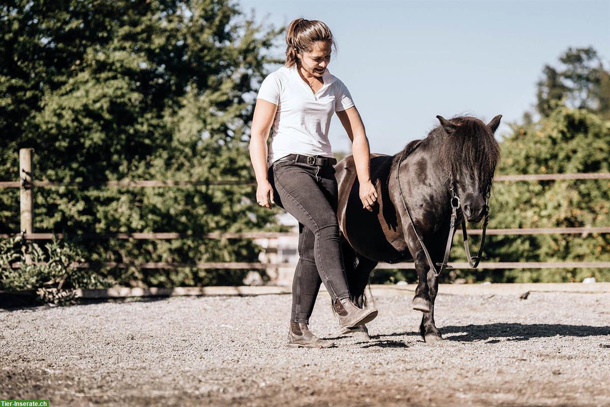 Bild 2: Mobiler Unterricht REITEN und BODENARBEIT (Osteopathin i.A.)