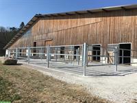 2 Pferdeboxen mit Auslauf für Selbstversorger, Schupfart AG