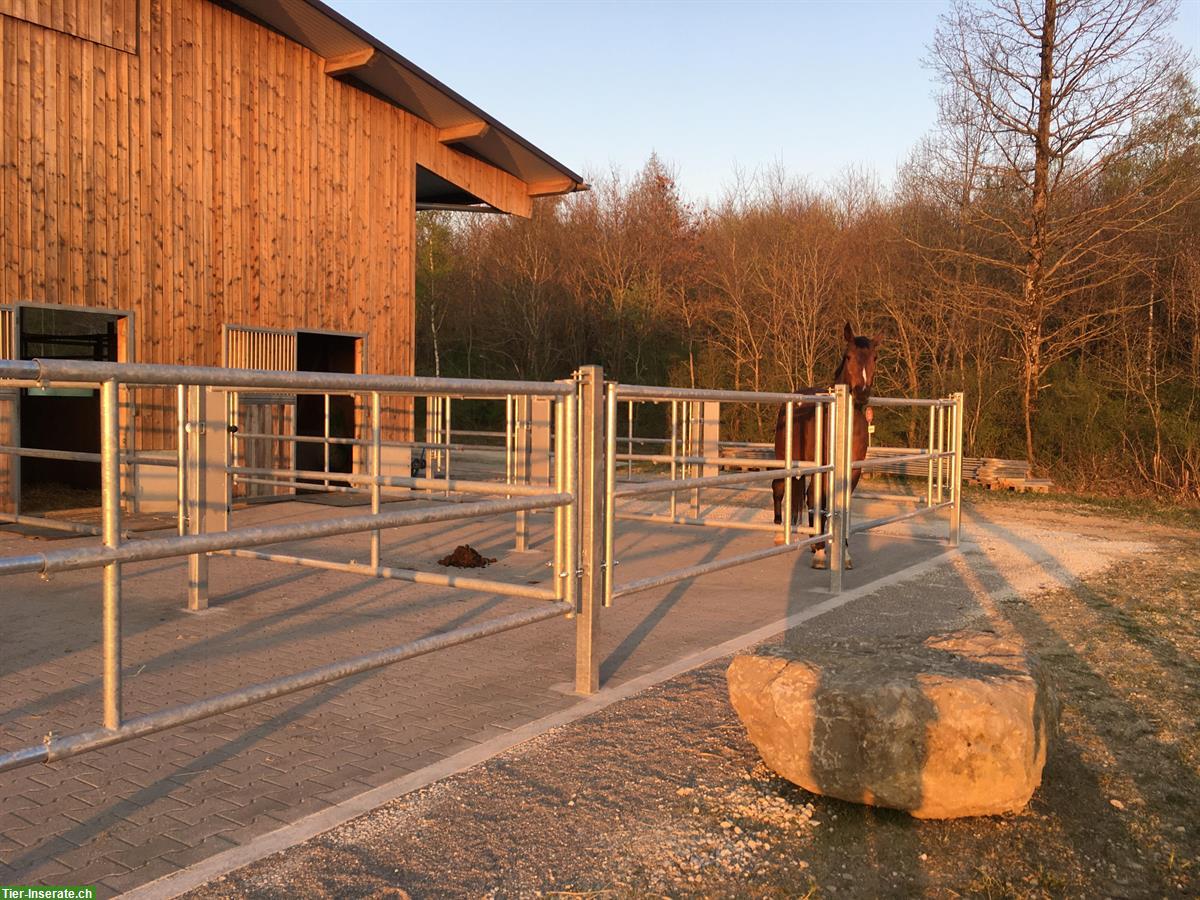 Bild 2: 2 Pferdeboxen mit Auslauf für Selbstversorger, Schupfart AG