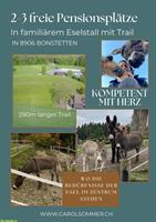 Pensionsplätze Offenstall für Esel mit Trail, Bonstetten ZH