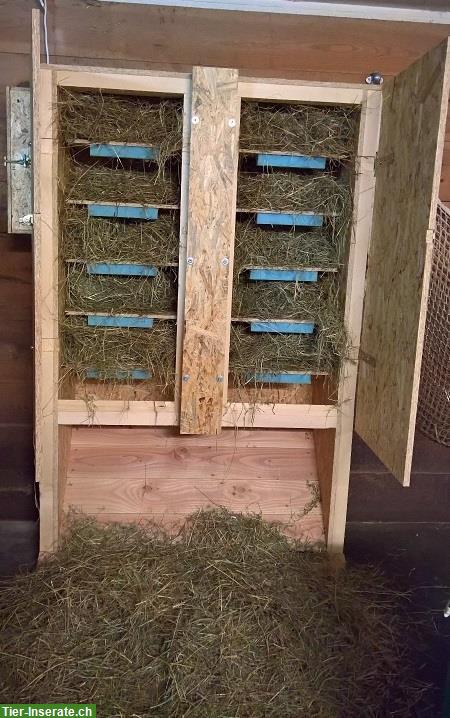 Pferde-Fütterungsautomat, Heuautomat, Futterautomat