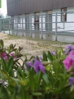 Stallpfleger Stellenangebot in Allschwil BL