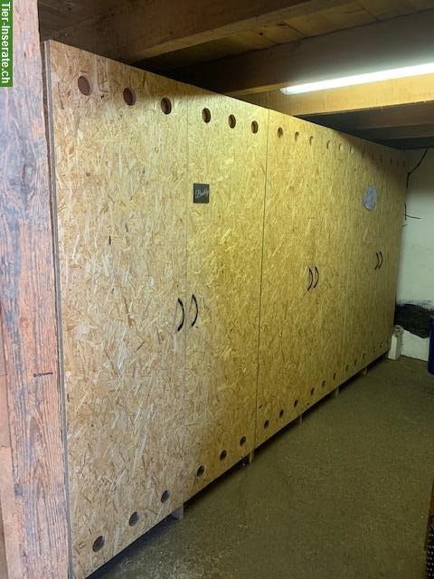 Bild 4: 2 freie Plätze in 4er Gruppe Aktivstall, Büttikon AG