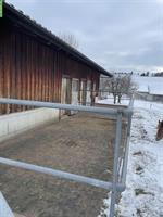 Grosse Auslaufbox frei in 2er-Stall, Ottikon ZH