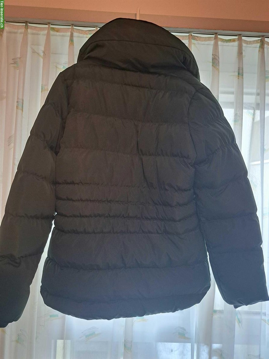 Bild 3: Felix Bühler Damen-Reit-Steppjacke XXL, dunkelgrün