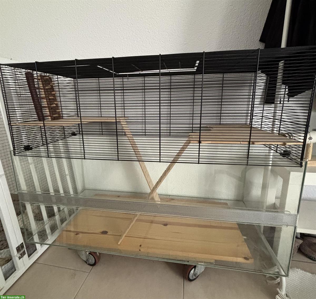 Nager Glasterrarium mit Gitteraufsatz inkl. Zubehör