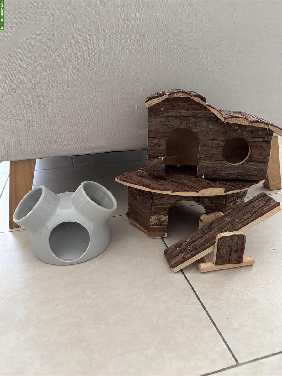 Bild 2: Nager Glasterrarium mit Gitteraufsatz inkl. Zubehör