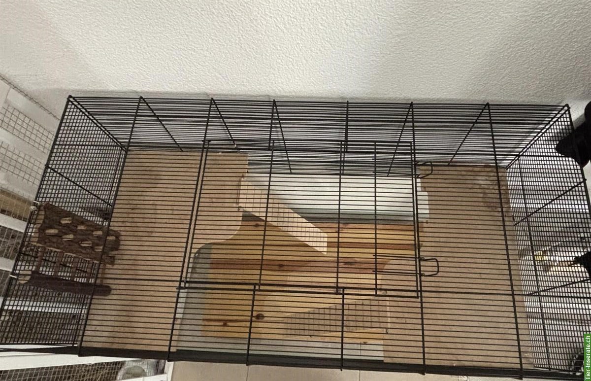 Bild 3: Nager Glasterrarium mit Gitteraufsatz inkl. Zubehör