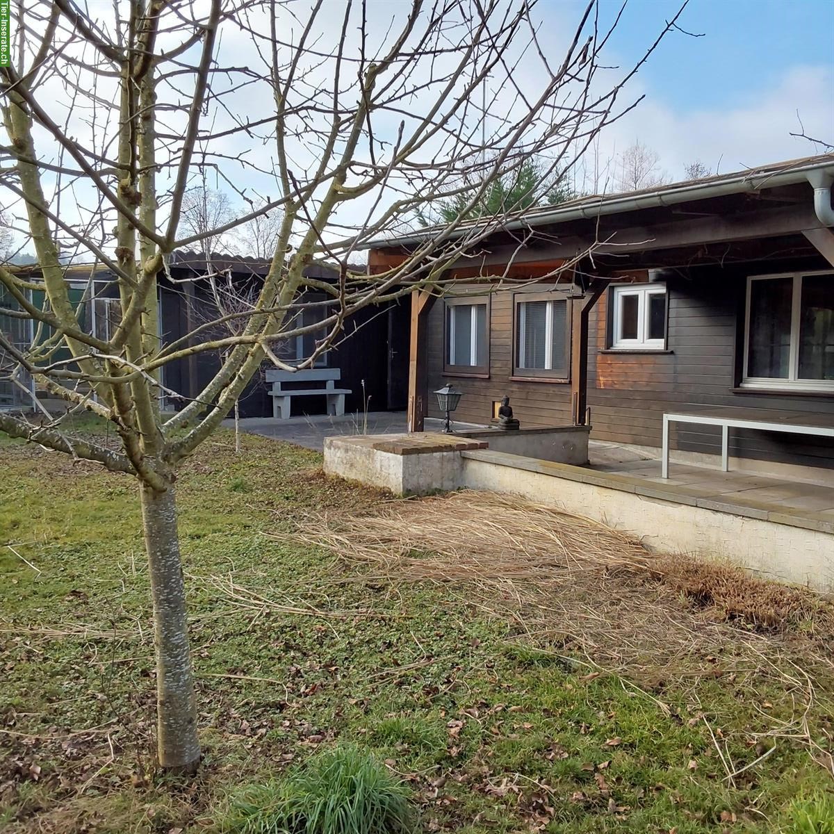 Kleintieranlage in Rümlang ZH zu verkaufen