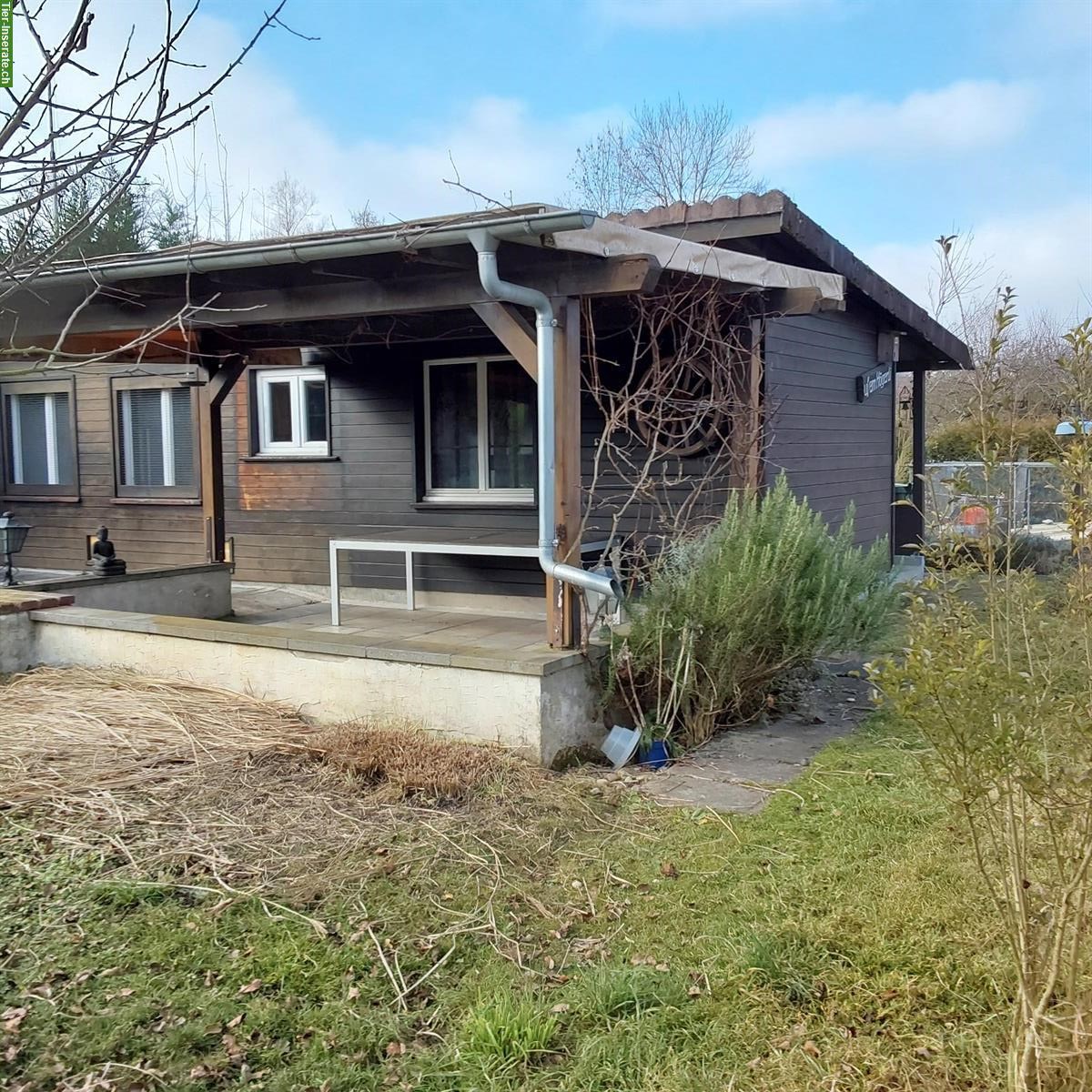 Bild 2: Kleintieranlage in Rümlang ZH zu verkaufen