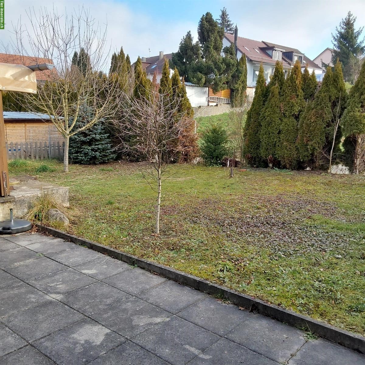 Bild 3: Kleintieranlage in Rümlang ZH zu verkaufen