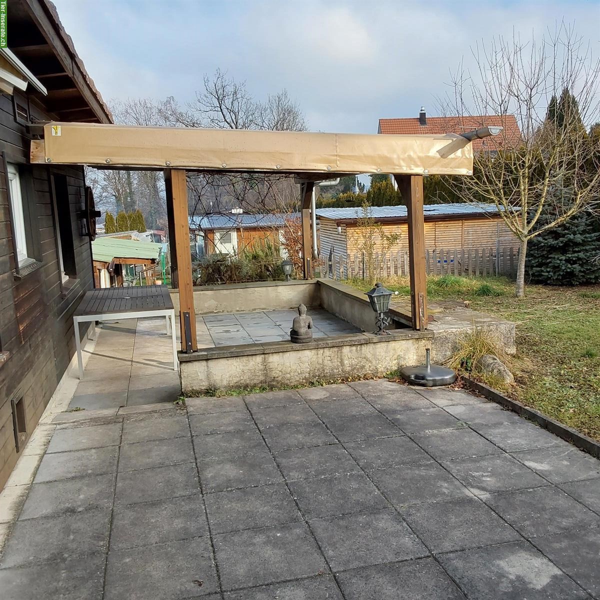 Bild 4: Kleintieranlage in Rümlang ZH zu verkaufen