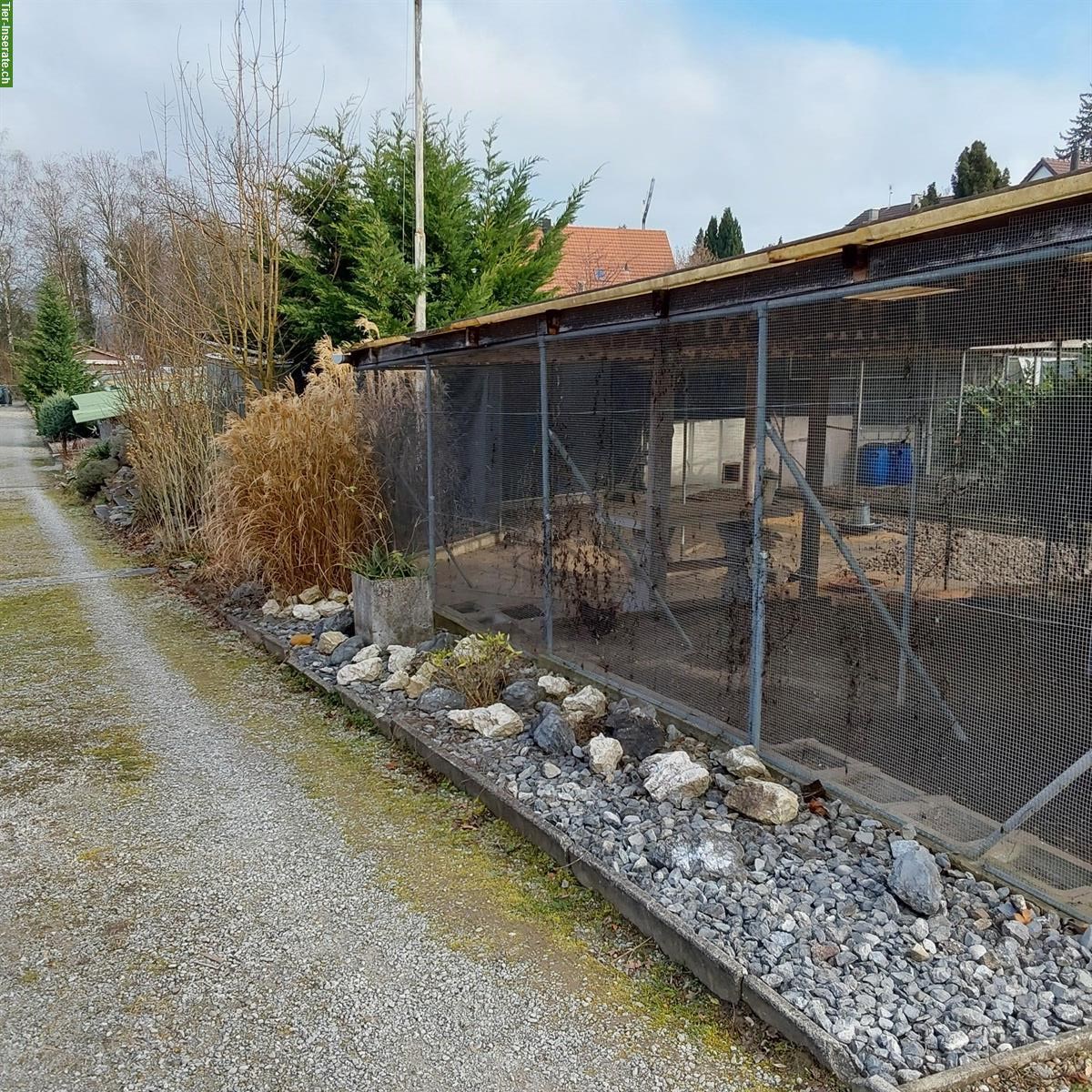 Bild 7: Kleintieranlage in Rümlang ZH zu verkaufen
