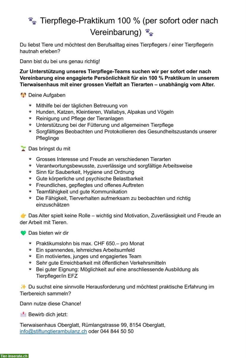 Tierpflege Praktikum 100%, Oberglatt ZH
