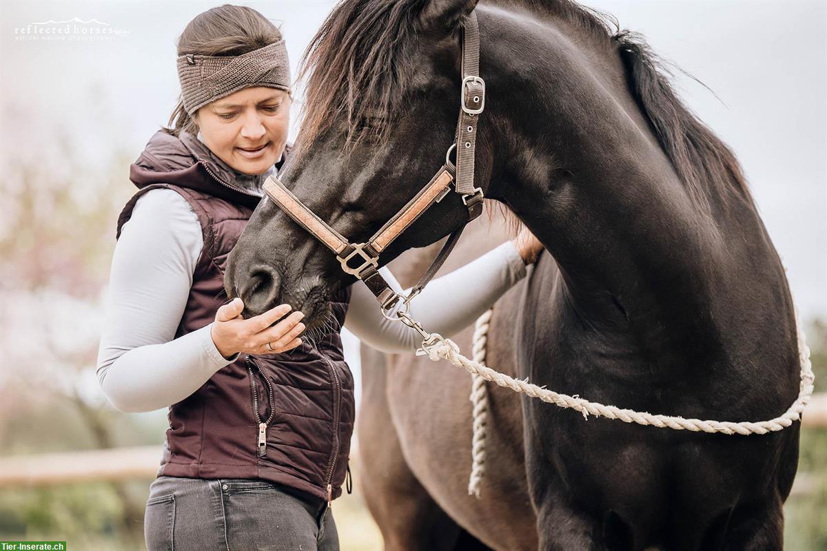Bild 3: Pferdeosteopathie | ganzheitliche Medizin für Körper, Geist & Bewegung