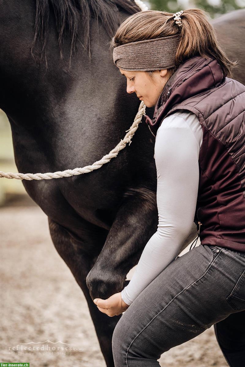 Bild 5: Pferdeosteopathie | ganzheitliche Medizin für Körper, Geist & Bewegung