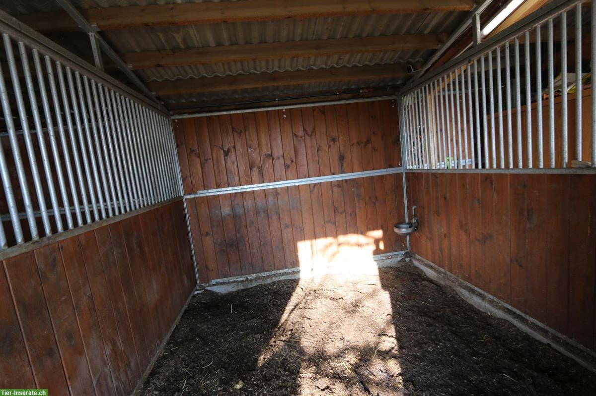 Offenstall zur Selbstversorgung/Teilversorgung zu vermieten