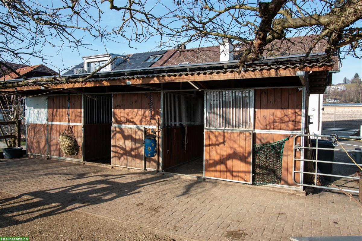 Bild 3: Offenstall zur Selbstversorgung/Teilversorgung zu vermieten