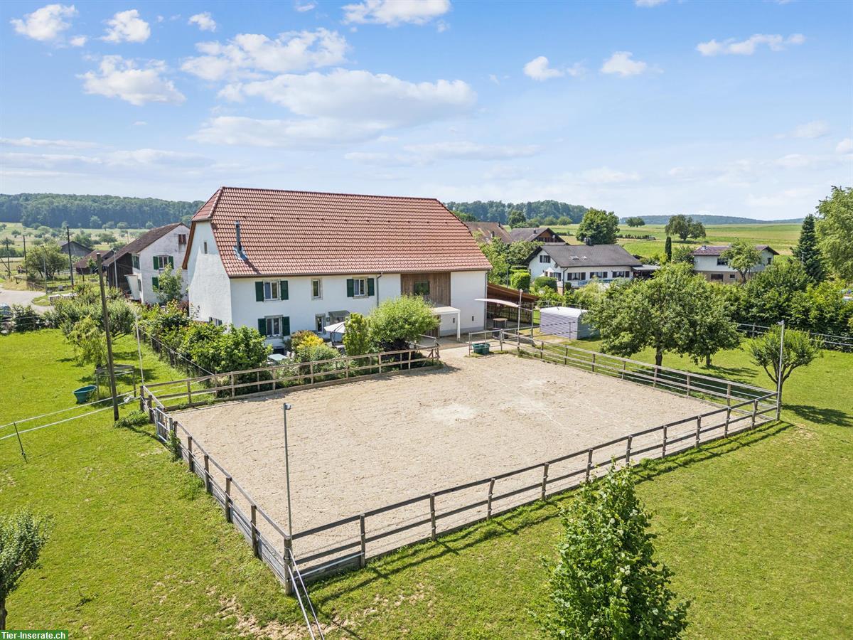 Kernsanierte Reitsportimmobilie für private Pferdehaltung in Montignez